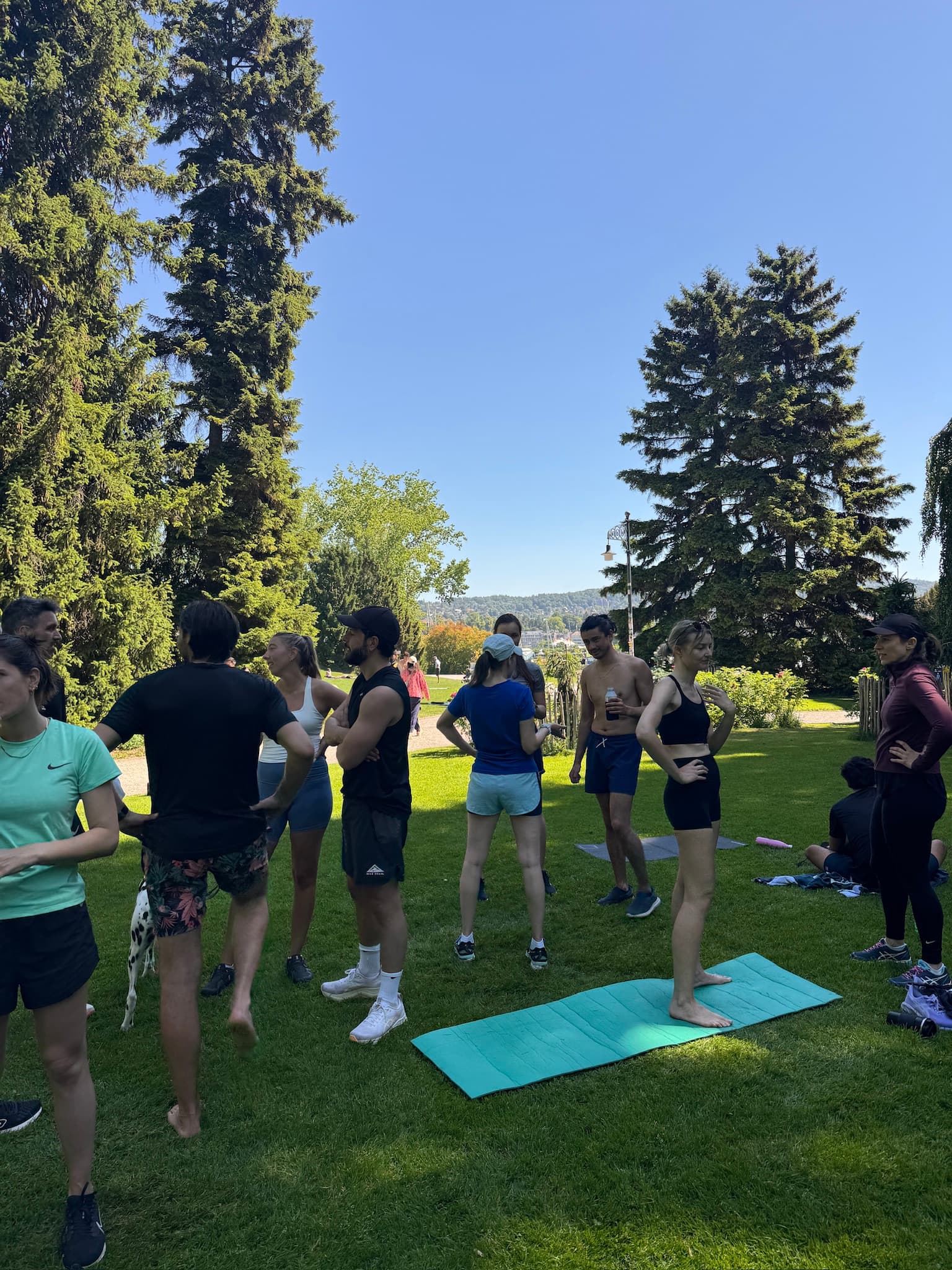 Gremlins training together in a Zürich park